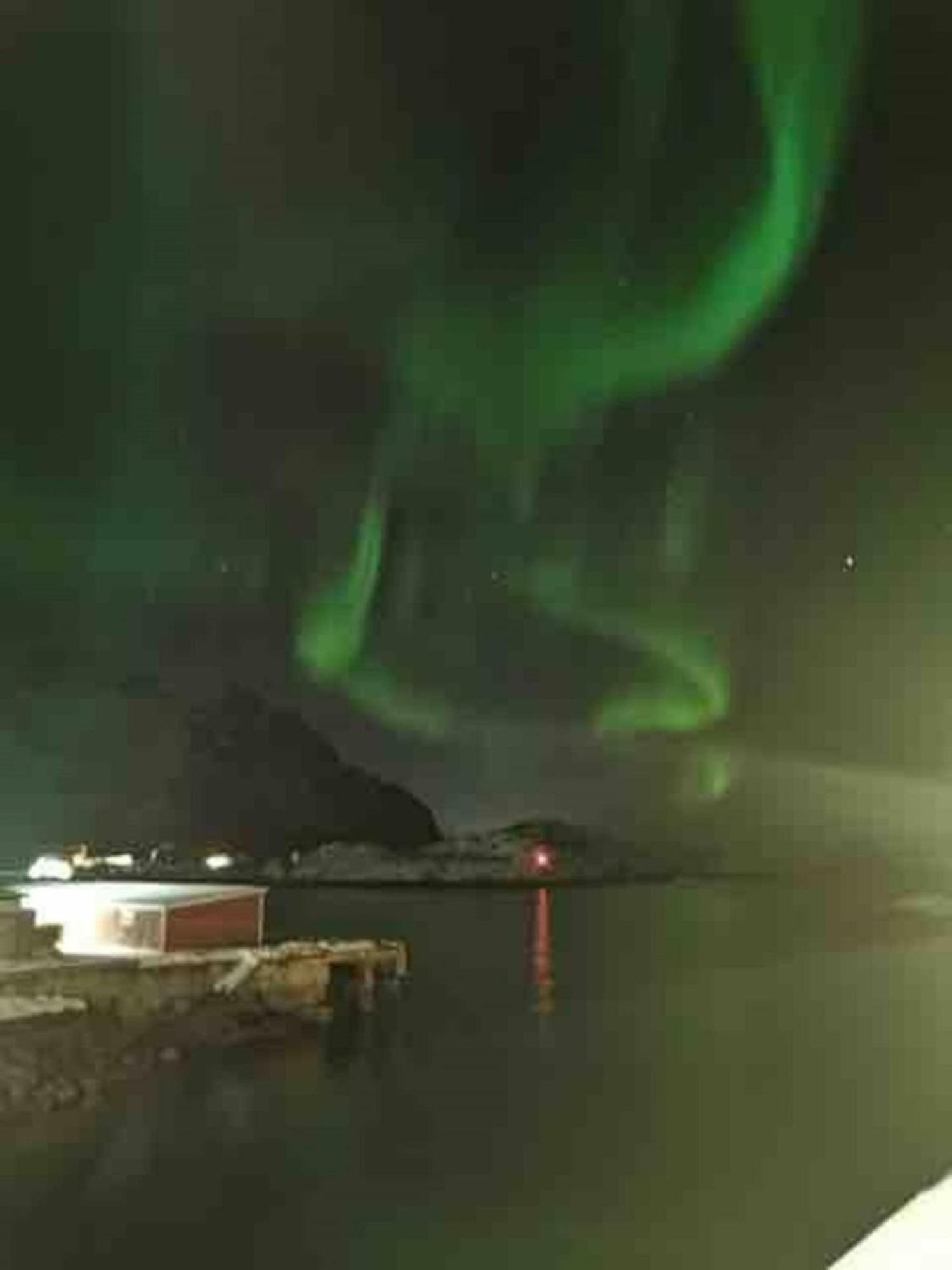 Ny Leilighet I Henningsvaer! Экстерьер фото